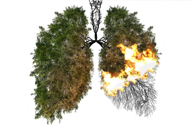 Clear Your Lungs with Chinese Medicine